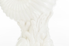 Immagine di Vaso conchiglia porcellana bianca  LE STELLE BOMBONIERE