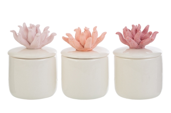 Immagine di SCATOLA CORALLO ASS.6x6xh.8,5CM C/ASTUCCIO