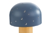 Immagine di LAMPADA DOME STARS CELESTE USB/TOUCH 16xh.22CM
