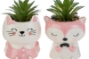 Immagine di PIANTINA ANIMALI ASS.2 8,5x8,5xh.14CM ROSA 57072